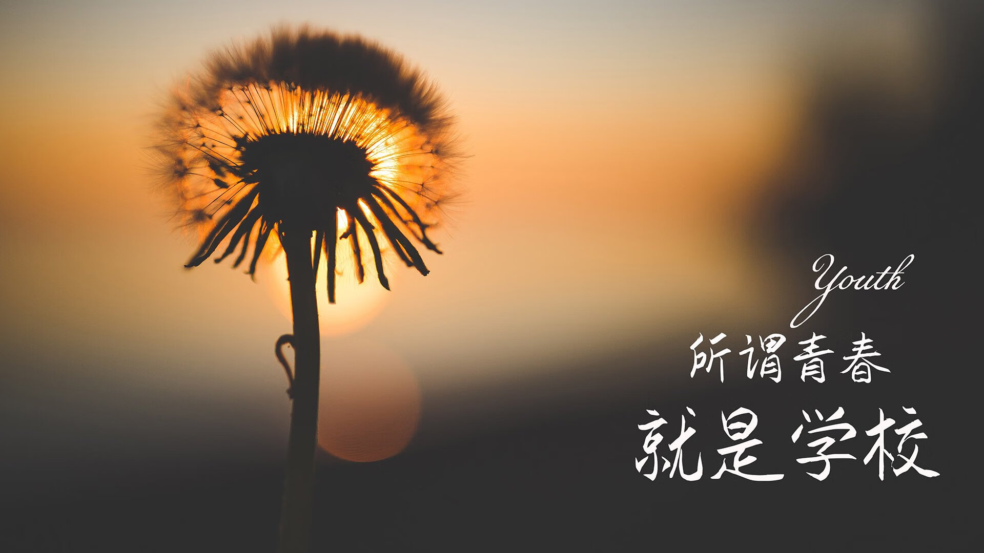 光伏太阳能装屋顶有什么危害（光伏太阳能按房顶对人体有害吗?）